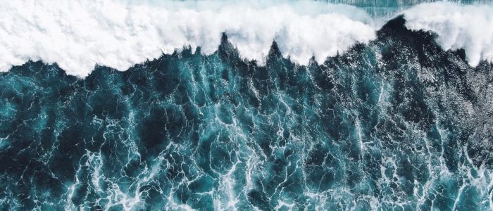 Catering i Hirsthals