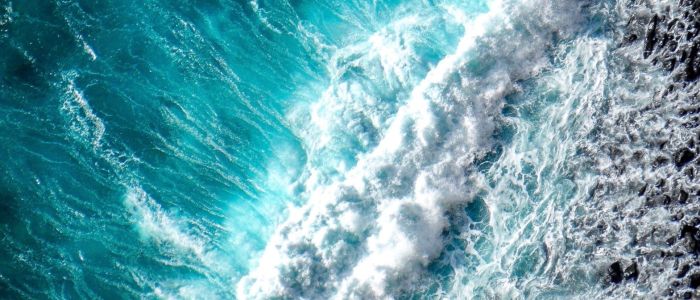 Menukort fra restaurant